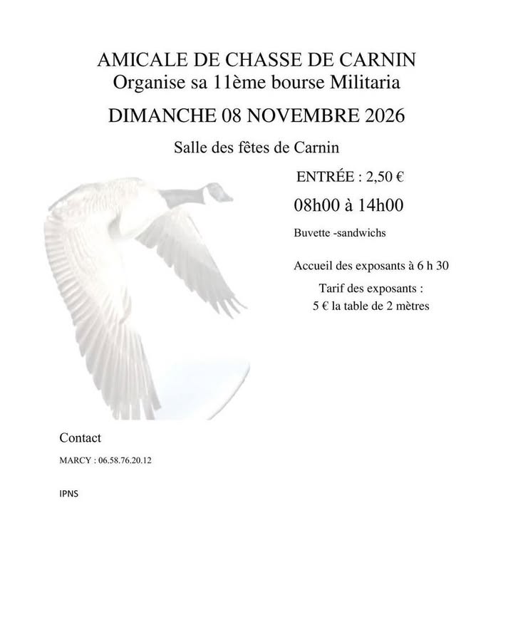 Village de Carnin officiel